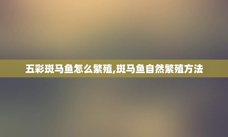 五彩斑马鱼怎么繁殖,斑马鱼自然繁殖方法