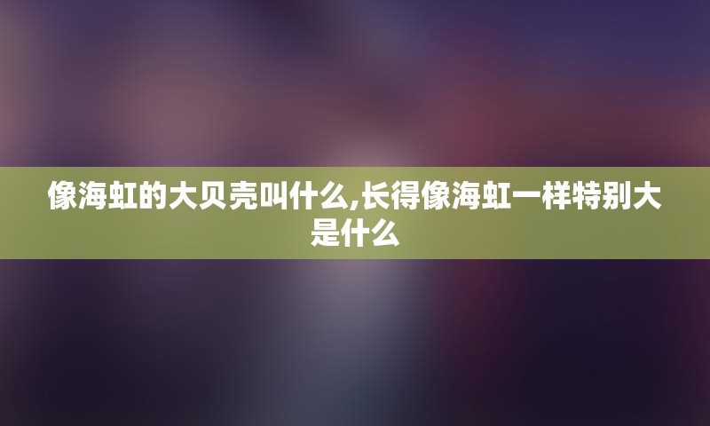 像海虹的大贝壳叫什么,长得像海虹一样特别大是什么