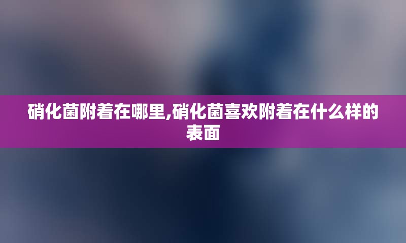 硝化菌附着在哪里,硝化菌喜欢附着在什么样的表面