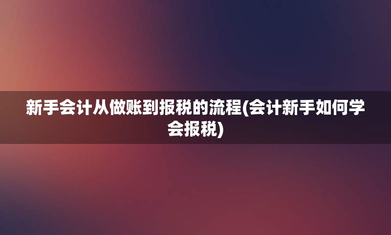 新手会计从做账到报税的流程(会计新手如何学会报税)