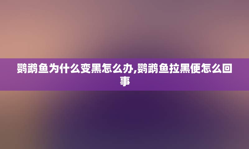 鹦鹉鱼为什么变黑怎么办,鹦鹉鱼拉黑便怎么回事