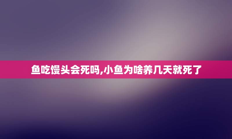 鱼吃馒头会死吗,小鱼为啥养几天就死了