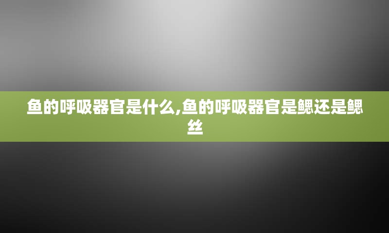 鱼的呼吸器官是什么,鱼的呼吸器官是鳃还是鳃丝