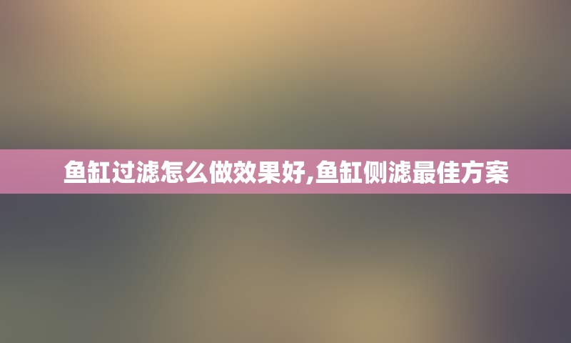 鱼缸过滤怎么做效果好,鱼缸侧滤最佳方案