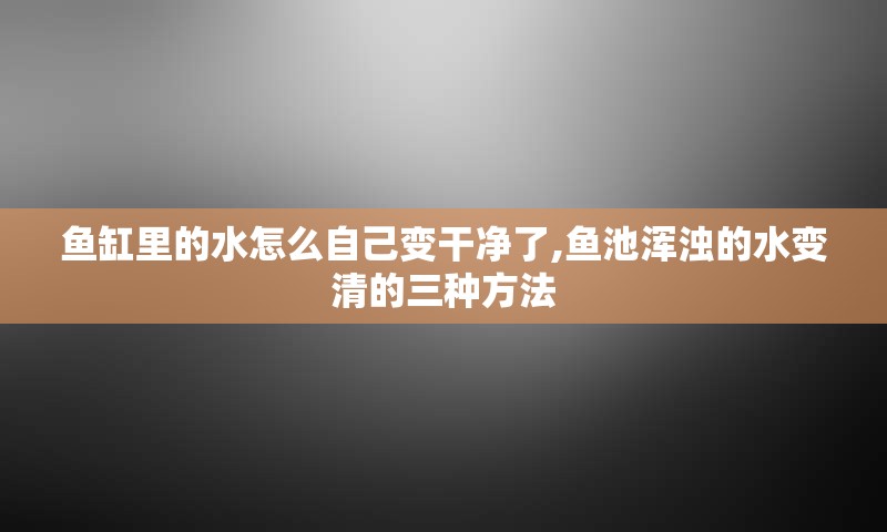 鱼缸里的水怎么自己变干净了,鱼池浑浊的水变清的三种方法