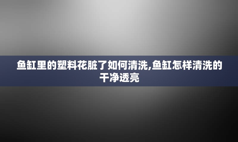 鱼缸里的塑料花脏了如何清洗,鱼缸怎样清洗的干净透亮