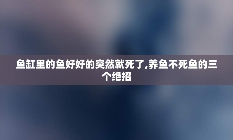 鱼缸里的鱼好好的突然就死了,养鱼不死鱼的三个绝招