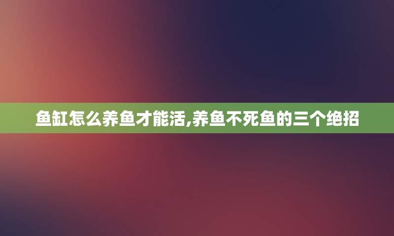 鱼缸怎么养鱼才能活,养鱼不死鱼的三个绝招