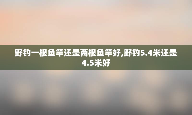 野钓一根鱼竿还是两根鱼竿好,野钓5.4米还是4.5米好