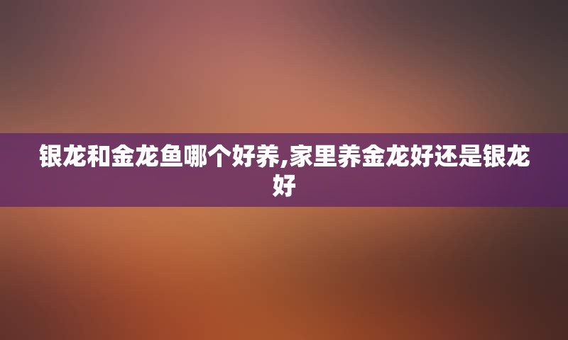 银龙和金龙鱼哪个好养,家里养金龙好还是银龙好