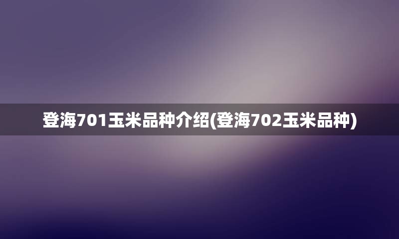 登海701玉米品种介绍(登海702玉米品种)