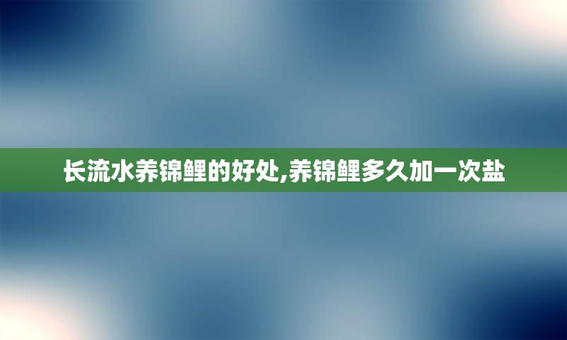 长流水养锦鲤的好处,养锦鲤多久加一次盐