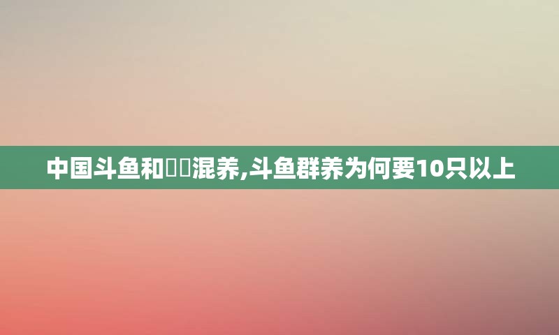 中国斗鱼和鳑鲏混养,斗鱼群养为何要10只以上