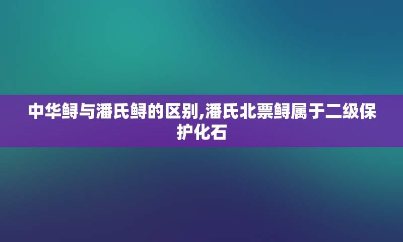 中华鲟与潘氏鲟的区别,潘氏北票鲟属于二级保护化石