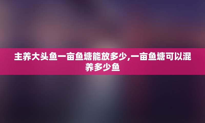 主养大头鱼一亩鱼塘能放多少,一亩鱼塘可以混养多少鱼