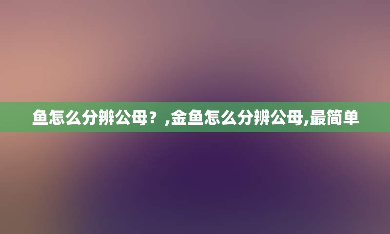 鱼怎么分辨公母？,金鱼怎么分辨公母,最简单