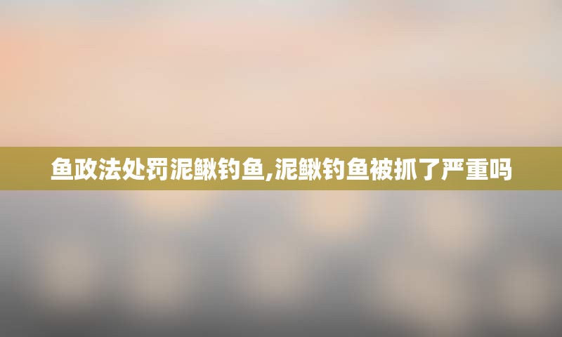 鱼政法处罚泥鳅钓鱼,泥鳅钓鱼被抓了严重吗