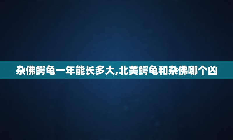 杂佛鳄龟一年能长多大,北美鳄龟和杂佛哪个凶