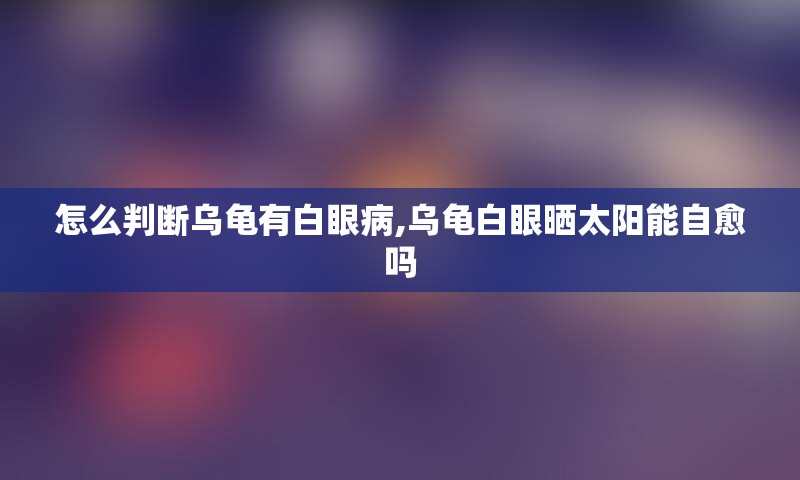 怎么判断乌龟有白眼病,乌龟白眼晒太阳能自愈吗