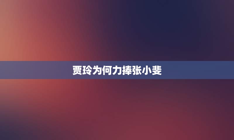 贾玲为何力捧张小斐