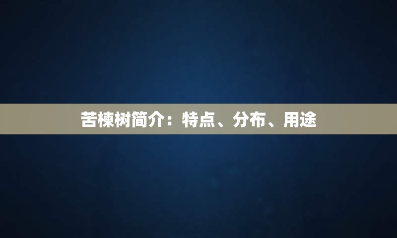 苦楝树简介：特点、分布、用途