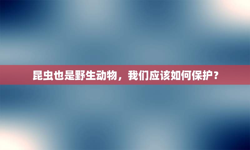 昆虫也是野生动物，我们应该如何保护？