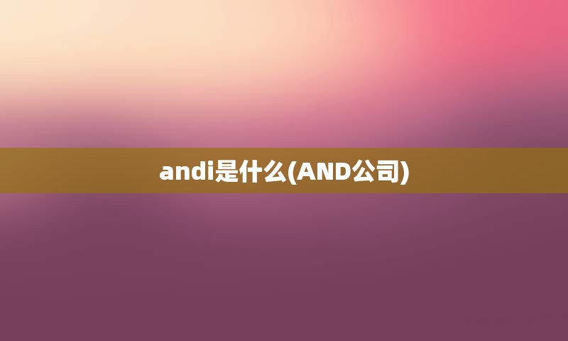 andi是什么(AND公司)