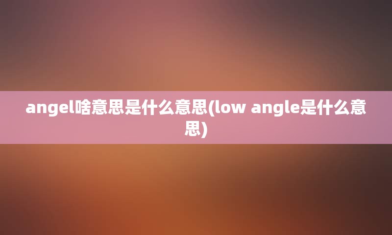 angel啥意思是什么意思(low angle是什么意思)