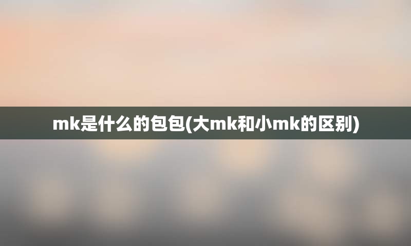 mk是什么的包包(大mk和小mk的区别)