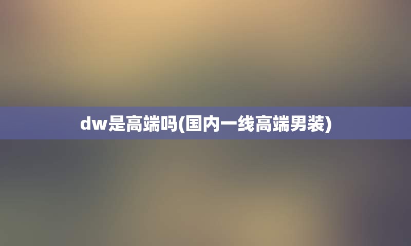 dw是高端吗(国内一线高端男装)