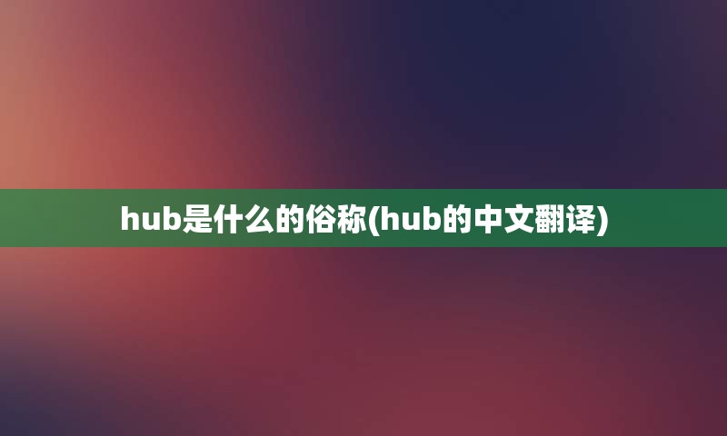 hub是什么的俗称(hub的中文翻译)