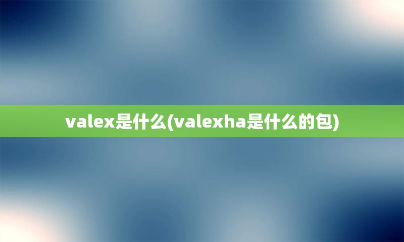 valex是什么(valexha是什么的包)