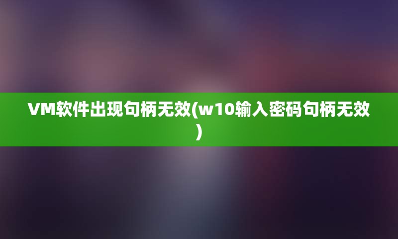 VM软件出现句柄无效(w10输入密码句柄无效)