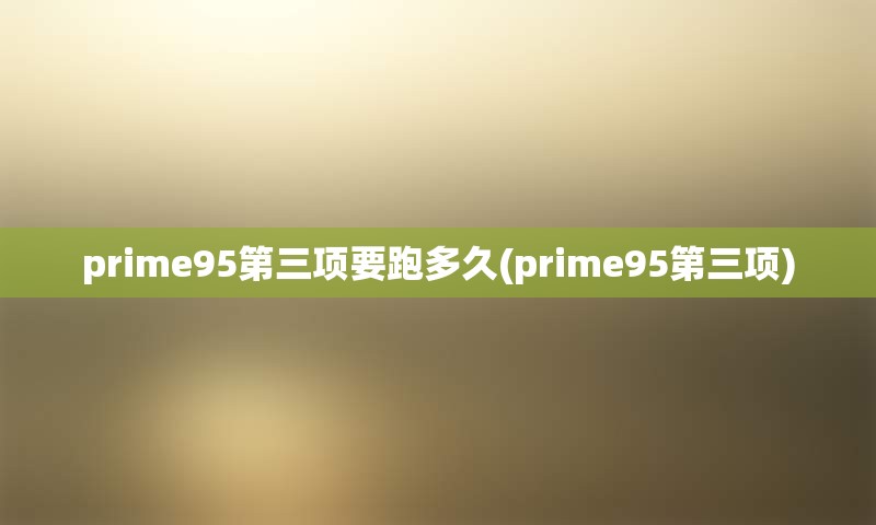 prime95第三项要跑多久(prime95第三项)