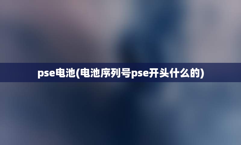 pse电池(电池序列号pse开头什么的)