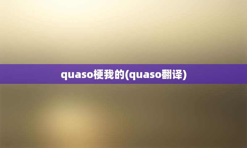 quaso梗我的(quaso翻译)