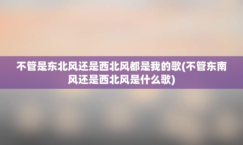 不管是东北风还是西北风都是我的歌(不管东南风还是西北风是什么歌)