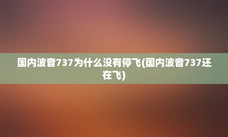 国内波音737为什么没有停飞(国内波音737还在飞)