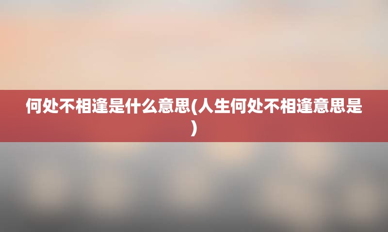 何处不相逢是什么意思(人生何处不相逢意思是)