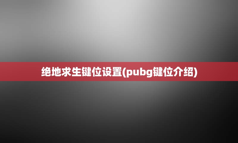 绝地求生键位设置(pubg键位介绍)