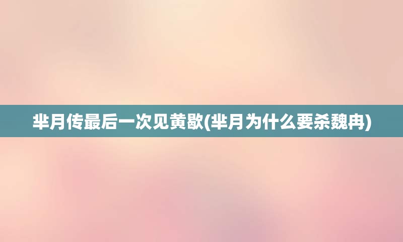 芈月传最后一次见黄歇(芈月为什么要杀魏冉)