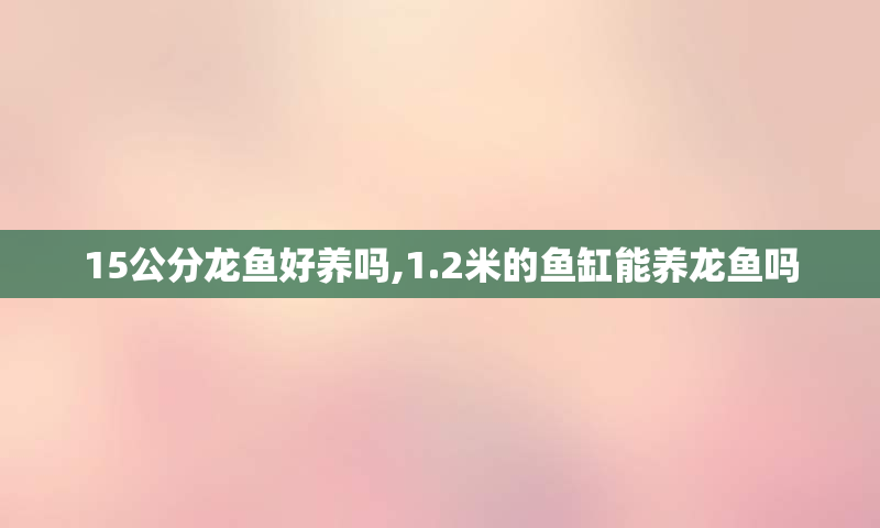 15公分龙鱼好养吗,1.2米的鱼缸能养龙鱼吗