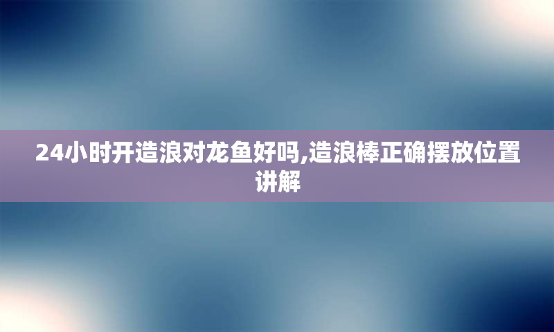 24小时开造浪对龙鱼好吗,造浪棒正确摆放位置讲解