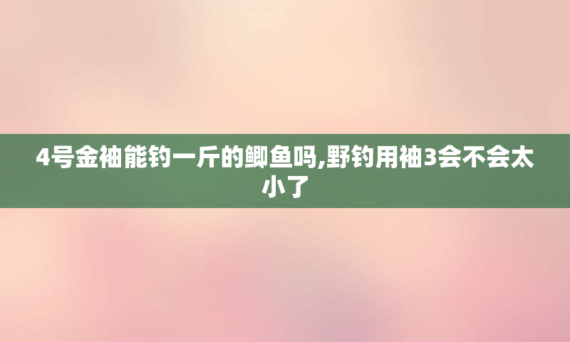 4号金袖能钓一斤的鲫鱼吗,野钓用袖3会不会太小了