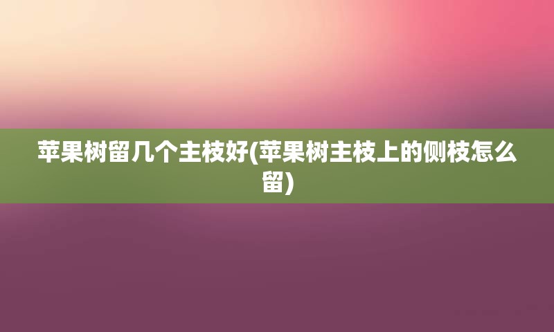 苹果树留几个主枝好(苹果树主枝上的侧枝怎么留)