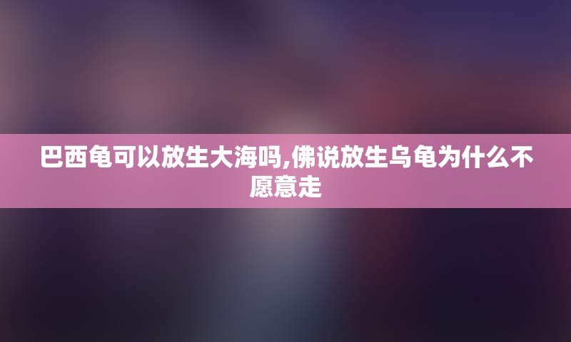 巴西龟可以放生大海吗,佛说放生乌龟为什么不愿意走