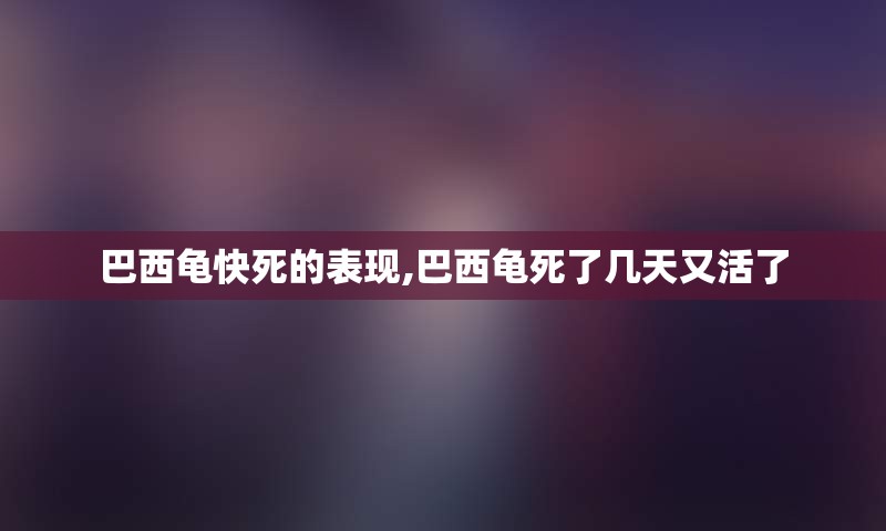 巴西龟快死的表现,巴西龟死了几天又活了