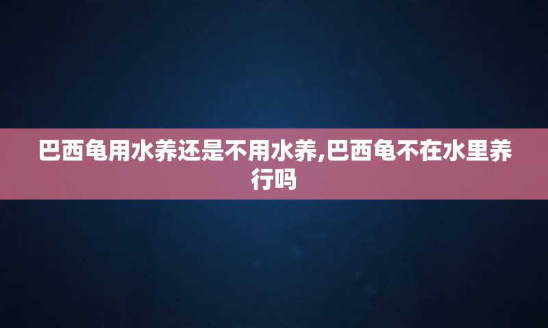 巴西龟用水养还是不用水养,巴西龟不在水里养行吗