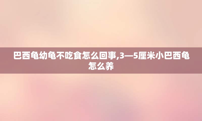 巴西龟幼龟不吃食怎么回事,3―5厘米小巴西龟怎么养