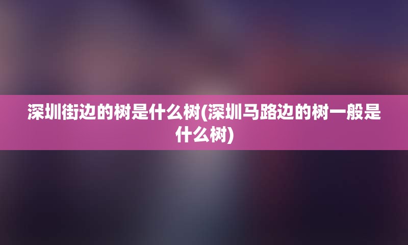 深圳街边的树是什么树(深圳马路边的树一般是什么树)